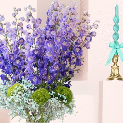 Delphinium Elegance 2