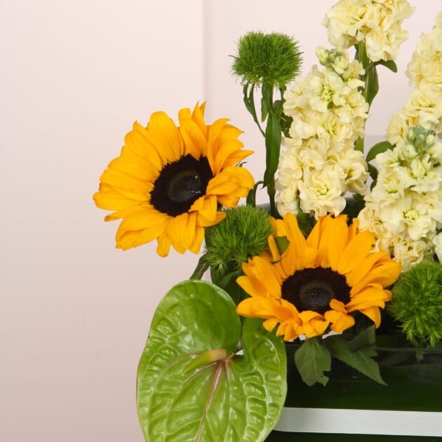 Yellow Delight with Chocolate 4