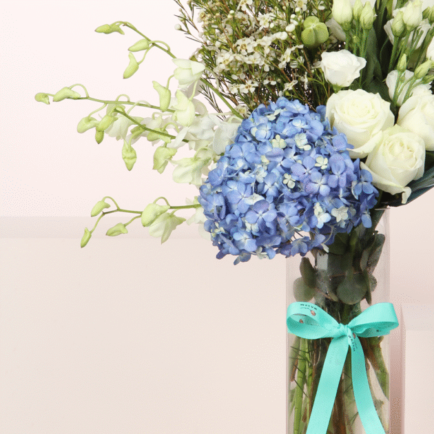 Flowers of Innocence 3