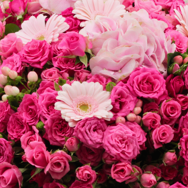 Pink Garden Blooms 4