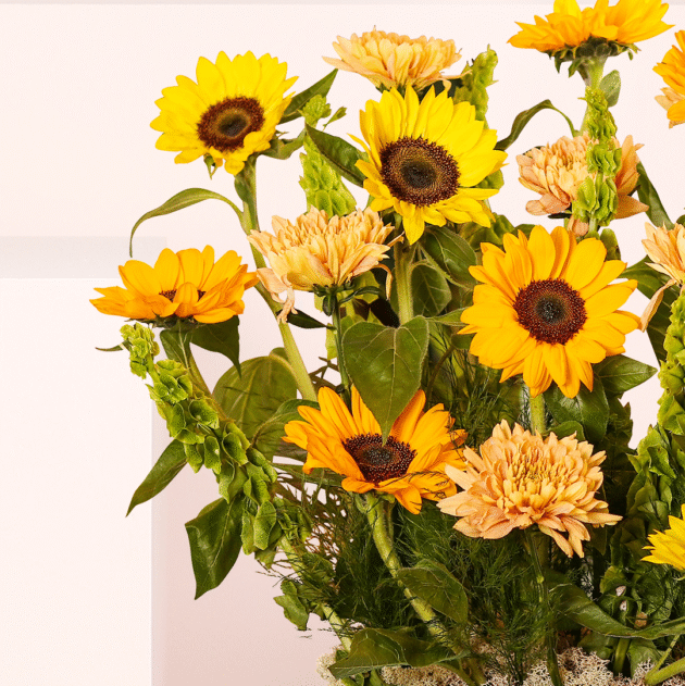 Giant Sunflowers 4
