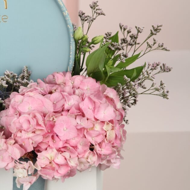 Vilan Chocolate & Tulips 3