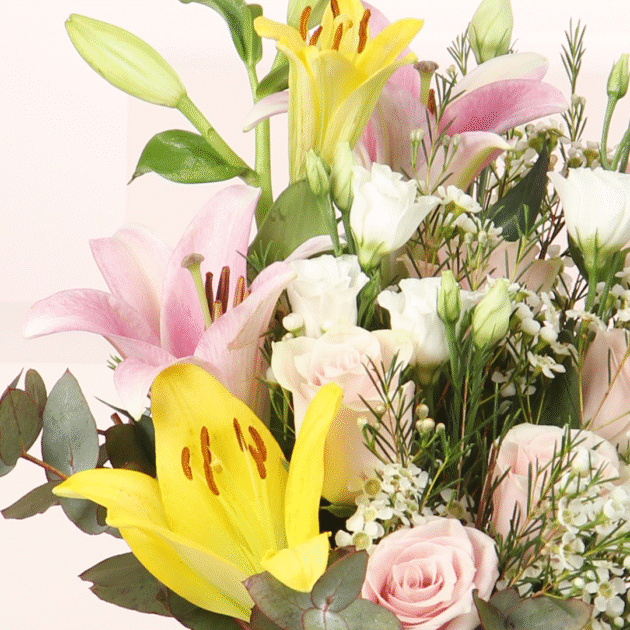 Flower Embrace 4