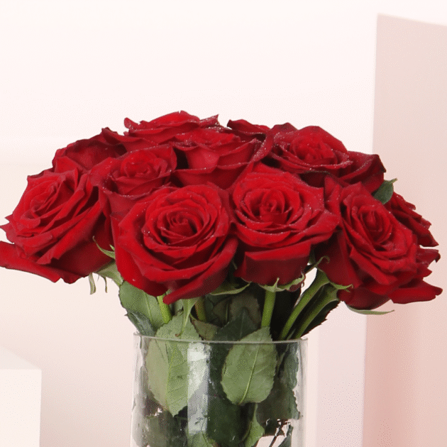 15 Red Roses Vase 2