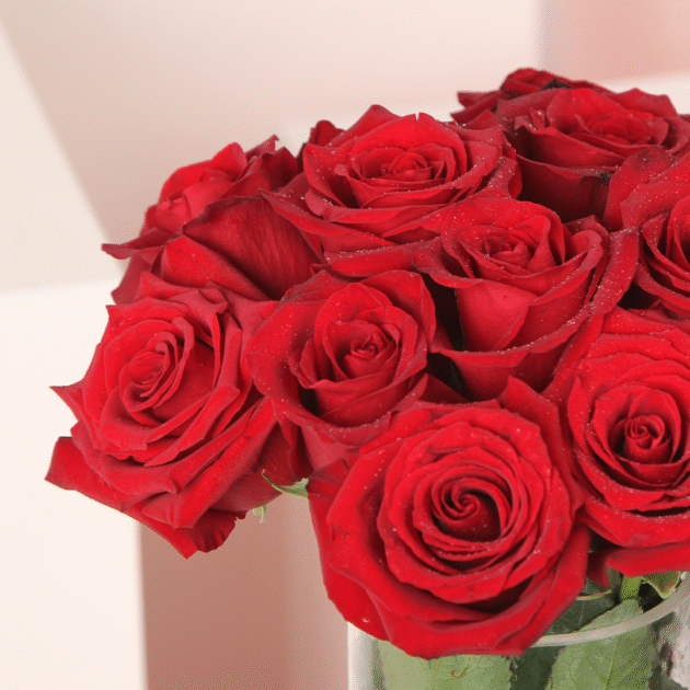 15 Red Roses Vase 4