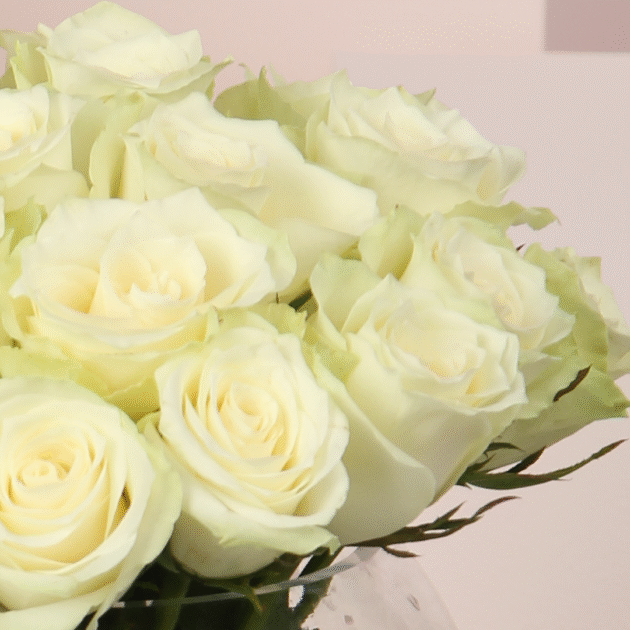 White Damask Rose Vase 4