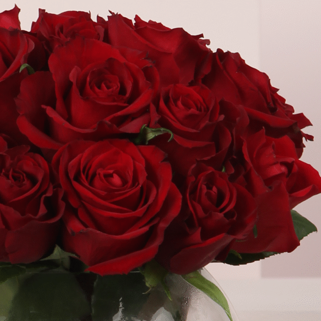 Red Damask Rose Vase 4