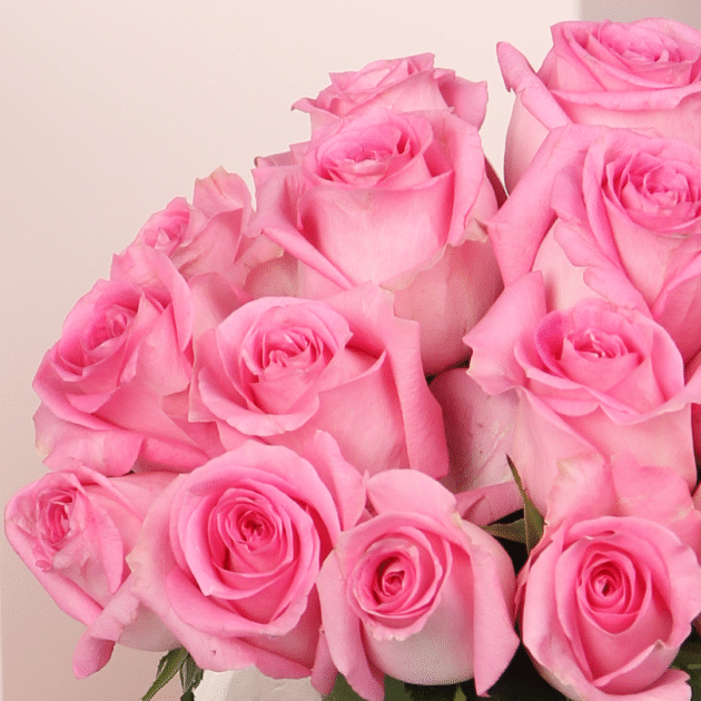 Pink Damask Rose Vase 5