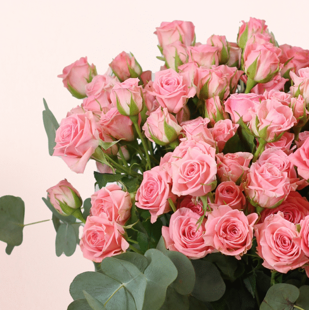 Pink Baby Rose Vase 3