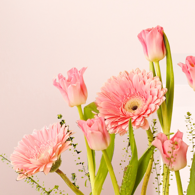 Pink Softness 4