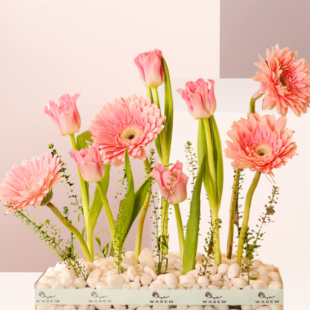 Pink Softness 5