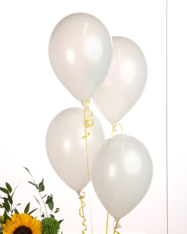 Wasm Spring Signature 2